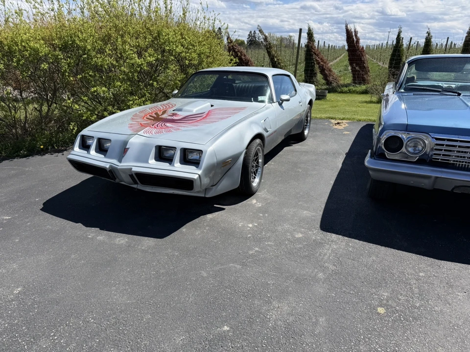 1981 Pontiac Firebird Trans Am 2nd Gen - Image 11 of 27