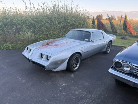 1981 Pontiac Firebird Trans Am