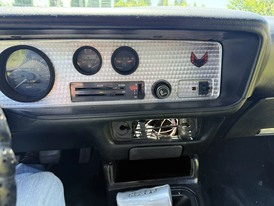 1981 Pontiac Firebird Trans Am 2nd Gen - Image 19 of 27