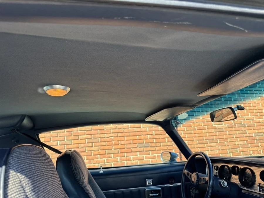 1981 Pontiac Firebird Trans Am 2nd Gen - Image 30 of 31