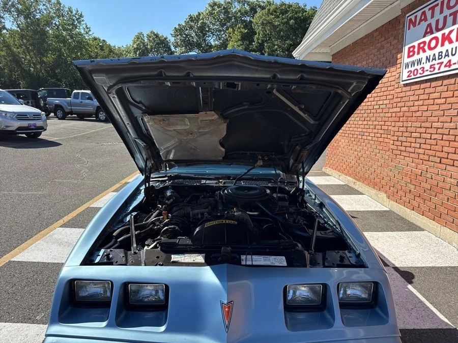 1981 Pontiac Firebird Trans Am 2nd Gen - Image 31 of 31