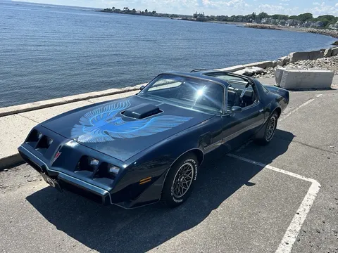 1981 Pontiac Firebird Trans Am