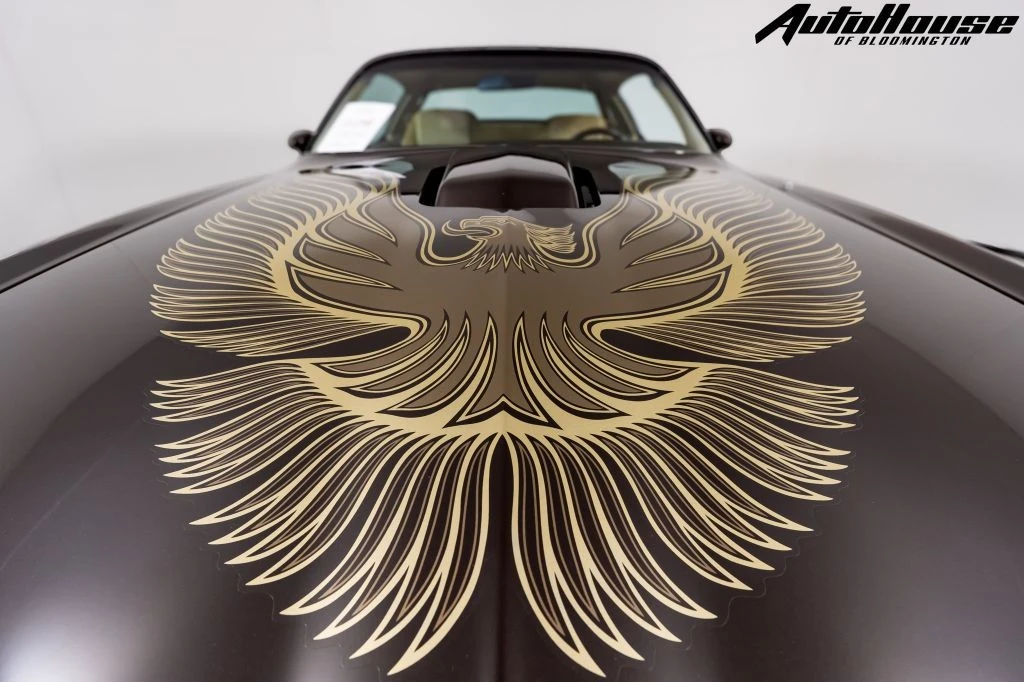 1981 Pontiac Firebird Trans Am 2nd Gen - Image 11 of 21