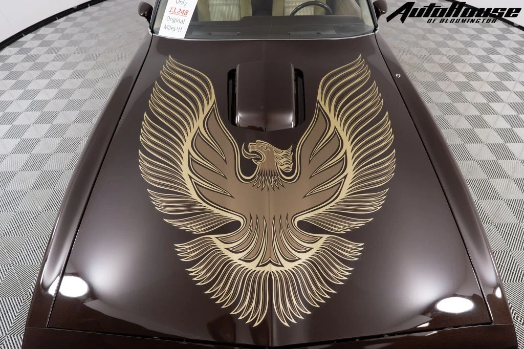 1981 Pontiac Firebird Trans Am 2nd Gen - Image 10 of 21