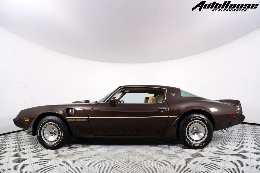 1981 Pontiac Firebird Trans Am 2nd Gen - Image 6 of 21