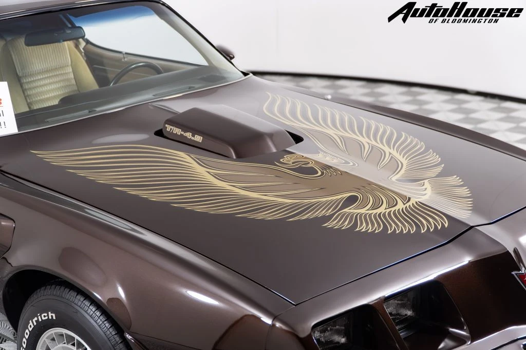 1981 Pontiac Firebird Trans Am 2nd Gen - Image 12 of 21