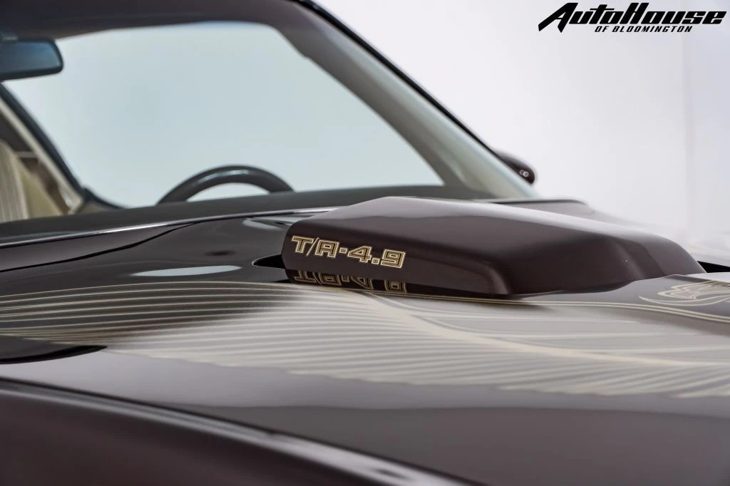 1981 Pontiac Firebird Trans Am 2nd Gen - Image 13 of 21