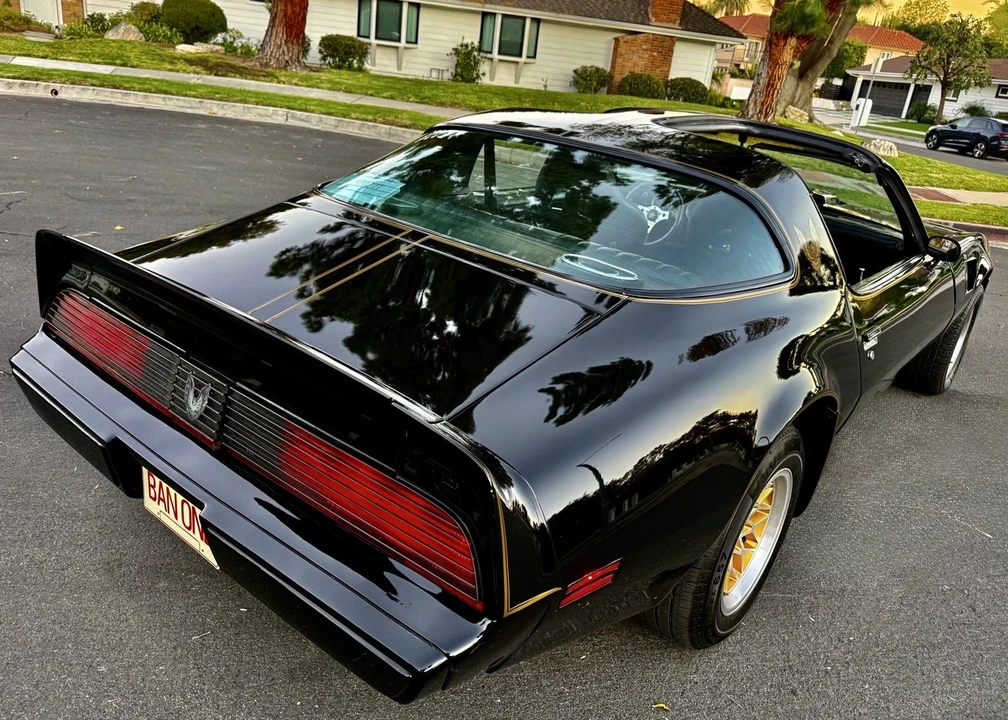 1981 Pontiac Firebird Trans Am 2nd Gen - Image 20 of 21