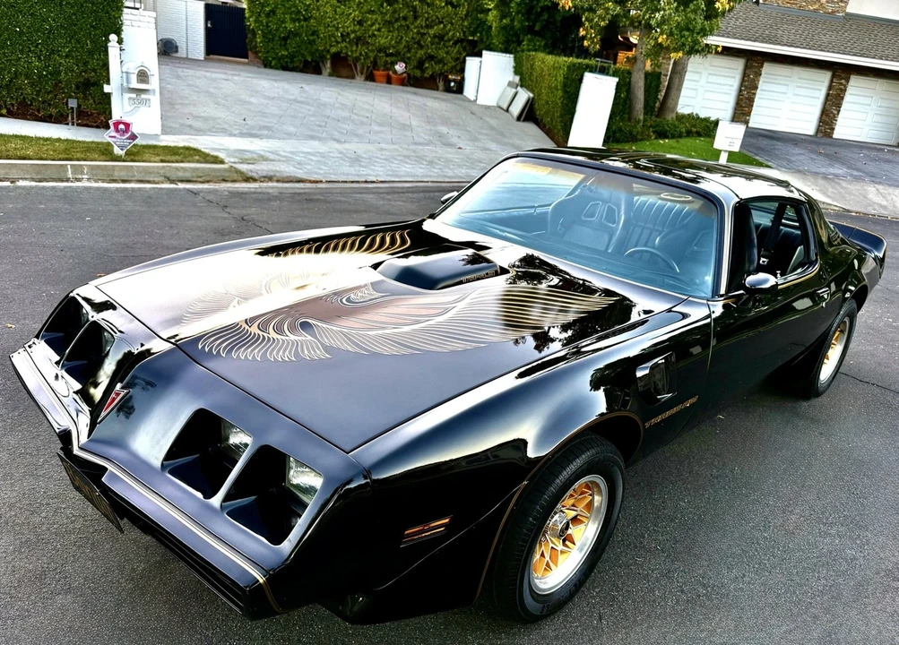 1981 Pontiac Firebird Trans Am 2nd Gen - Image 14 of 21