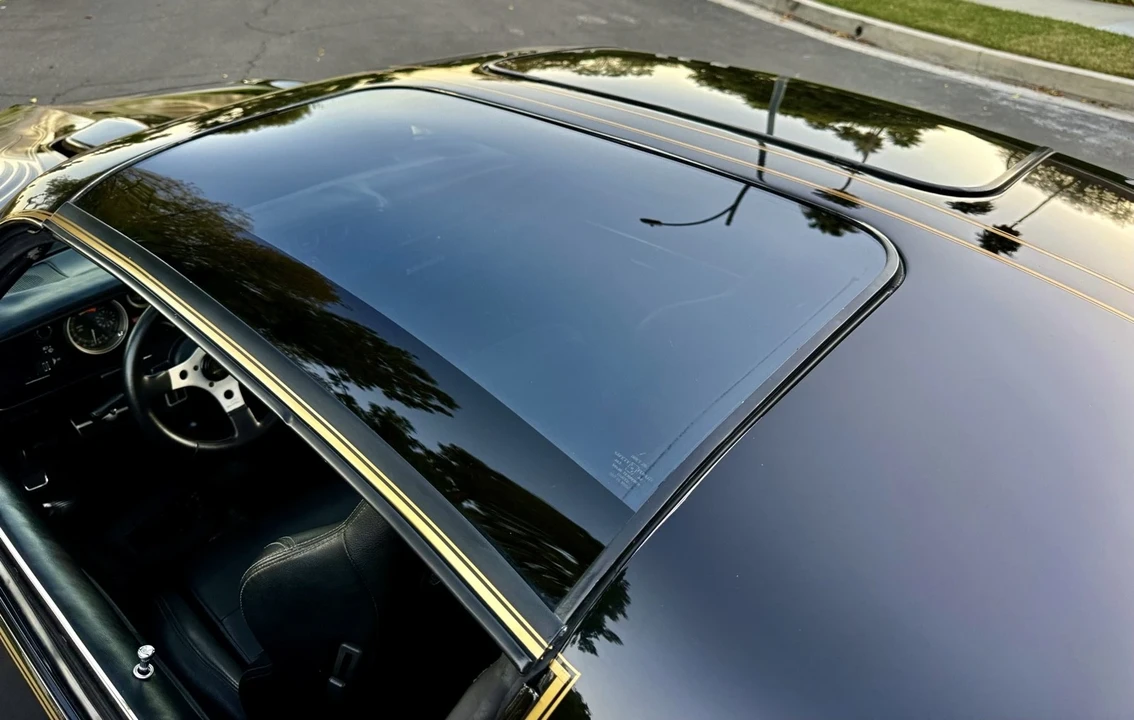 1981 Pontiac Firebird Trans Am 2nd Gen - Image 8 of 21