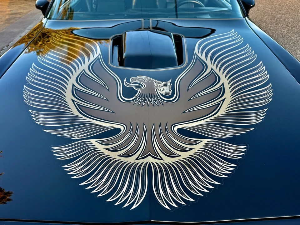 1981 Pontiac Firebird Trans Am 2nd Gen - Image 3 of 21
