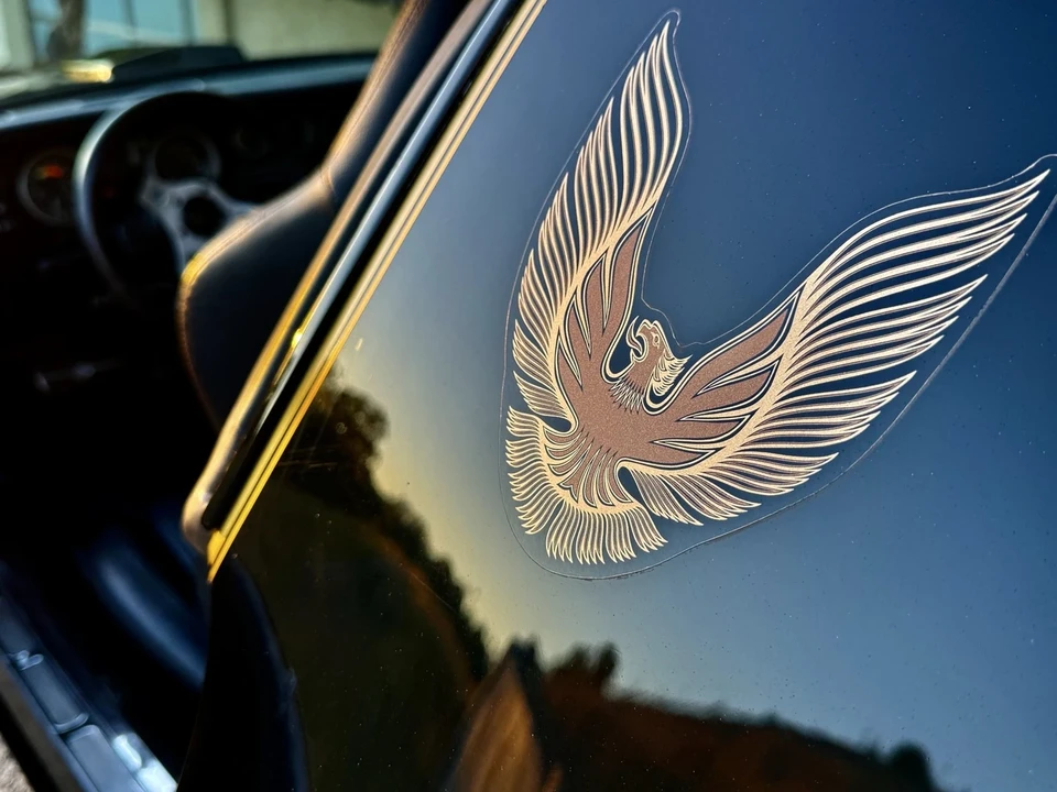 1981 Pontiac Firebird Trans Am 2nd Gen - Image 18 of 21