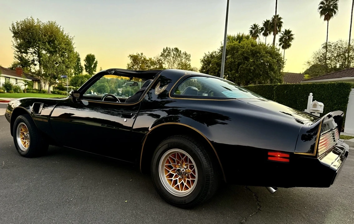 1981 Pontiac Firebird Trans Am 2nd Gen - Image 15 of 21