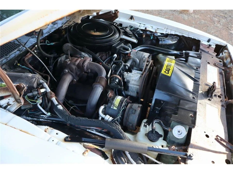 1981 Pontiac Firebird Trans Am 2nd Gen - Image 31 of 31