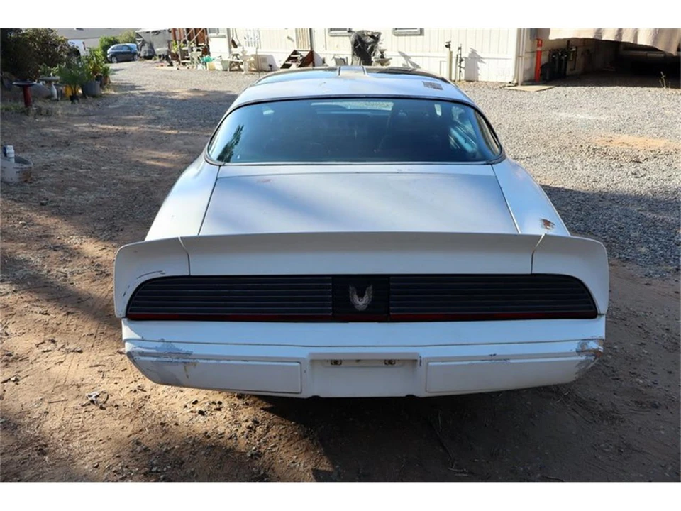 1981 Pontiac Firebird Trans Am 2nd Gen - Image 10 of 31