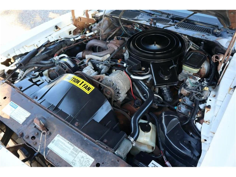 1981 Pontiac Firebird Trans Am 2nd Gen - Image 28 of 31