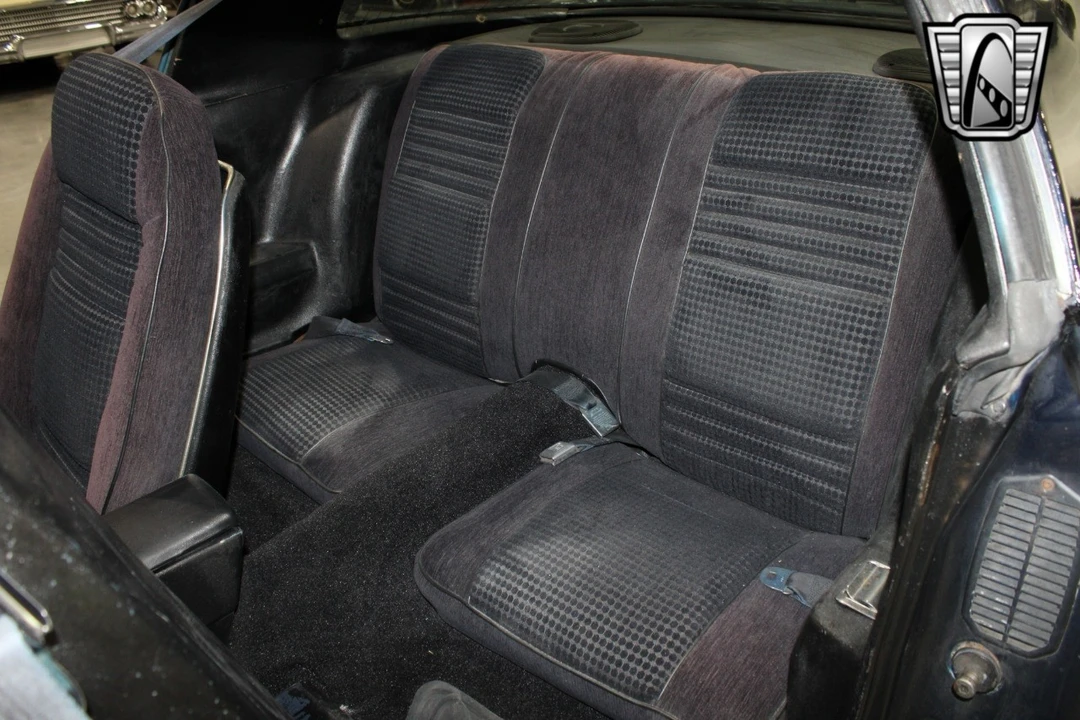 1981 Pontiac Firebird Trans Am 2nd Gen - Image 10 of 12