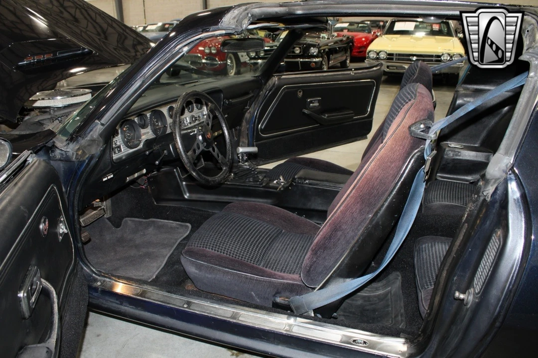 1981 Pontiac Firebird Trans Am 2nd Gen - Image 8 of 12