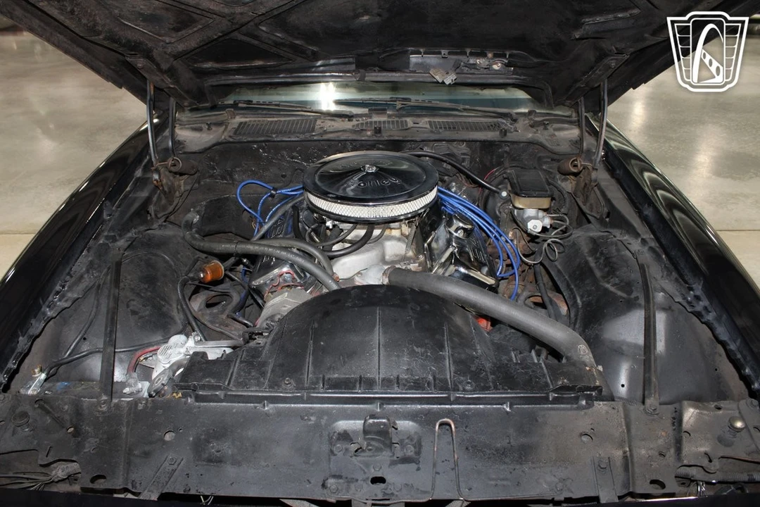 1981 Pontiac Firebird Trans Am 2nd Gen - Image 10 of 31