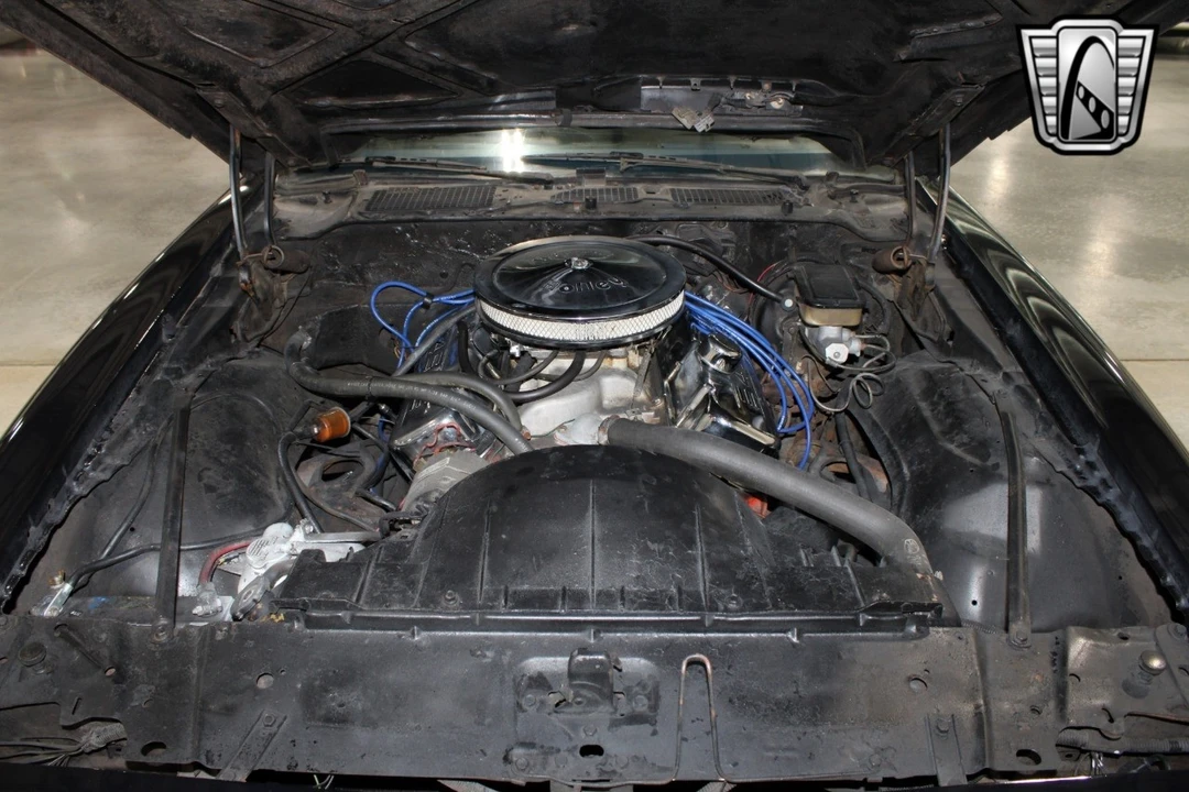 1981 Pontiac Firebird Trans Am 2nd Gen - Image 11 of 12