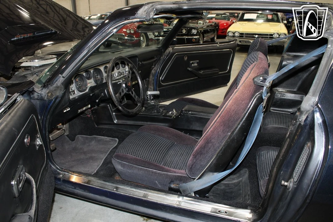 1981 Pontiac Firebird Trans Am 2nd Gen - Image 7 of 31