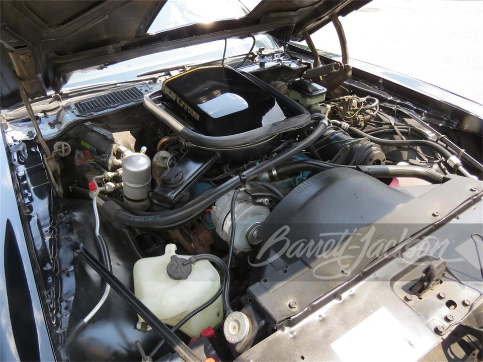 1981 Pontiac Firebird Trans Am 2nd Gen - Image 5 of 5