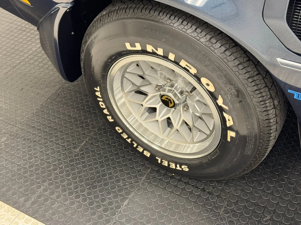 1981 Pontiac Firebird Trans Am 2nd Gen - Image 12 of 12