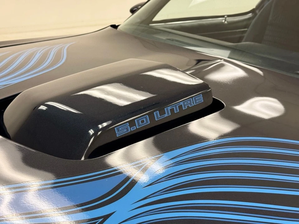 1981 Pontiac Firebird Trans Am 2nd Gen - Image 13 of 31