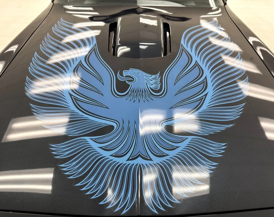 1981 Pontiac Firebird Trans Am 2nd Gen - Image 10 of 12