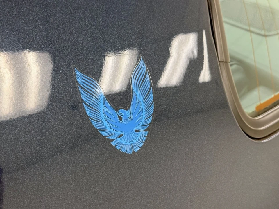 1981 Pontiac Firebird Trans Am 2nd Gen - Image 19 of 31