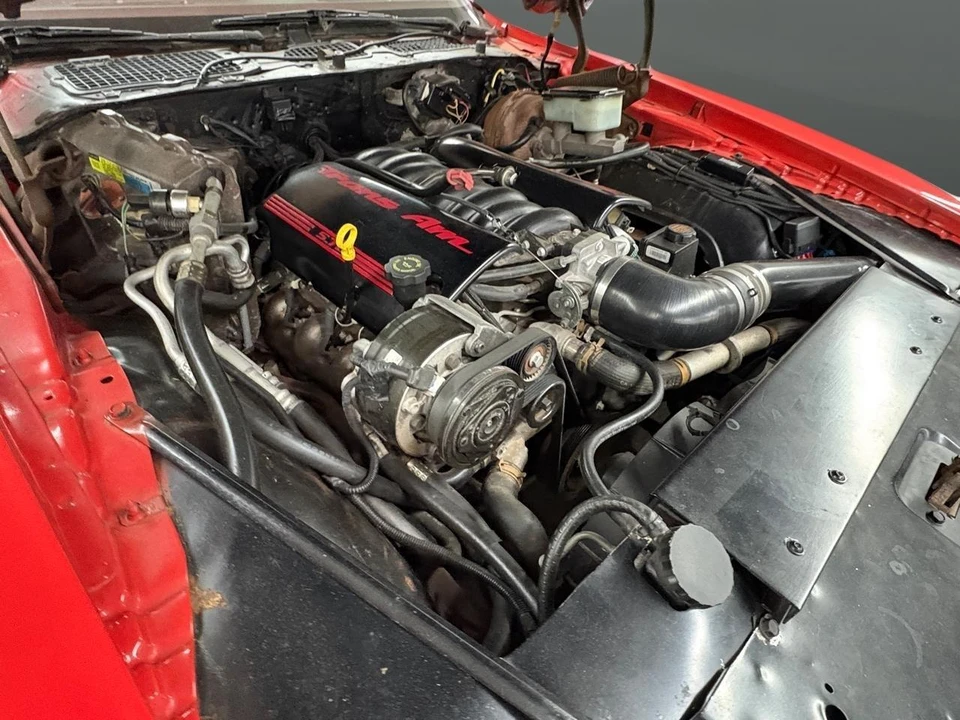1981 Pontiac Firebird Trans Am 2nd Gen - Image 5 of 12