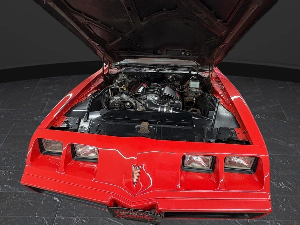 1981 Pontiac Firebird Trans Am 2nd Gen - Image 4 of 12