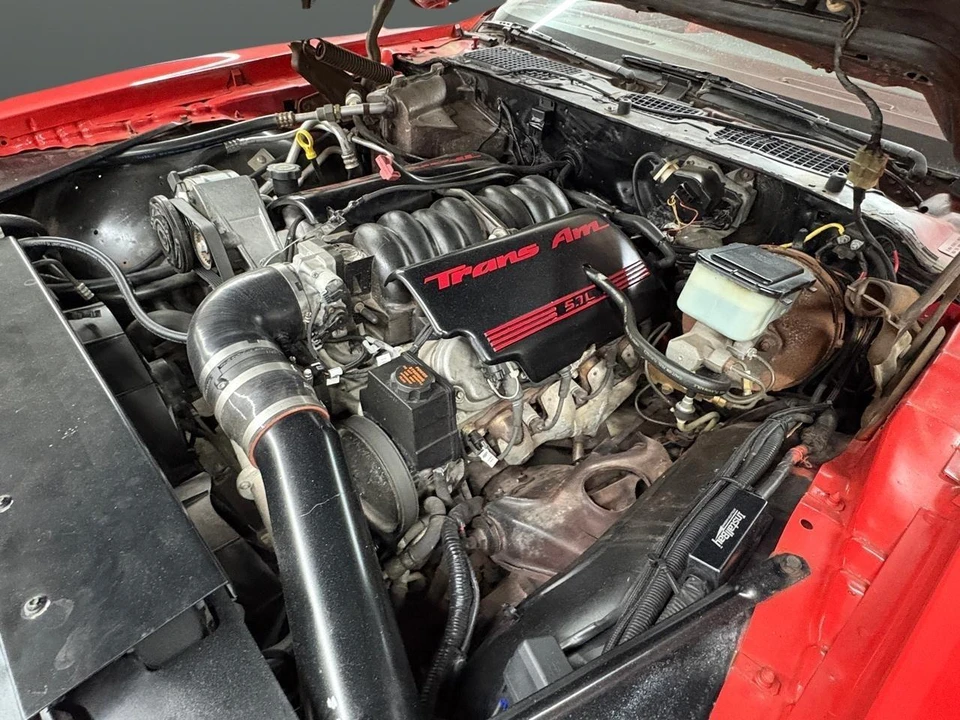 1981 Pontiac Firebird Trans Am 2nd Gen - Image 6 of 12