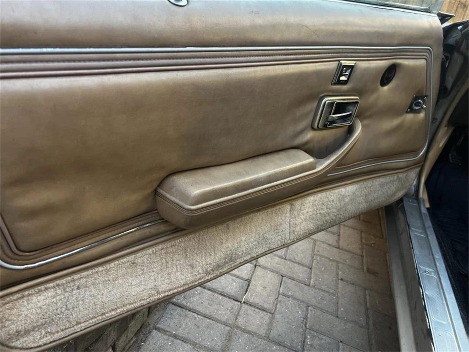 1981 Pontiac Firebird Trans Am 2nd Gen - Image 10 of 18