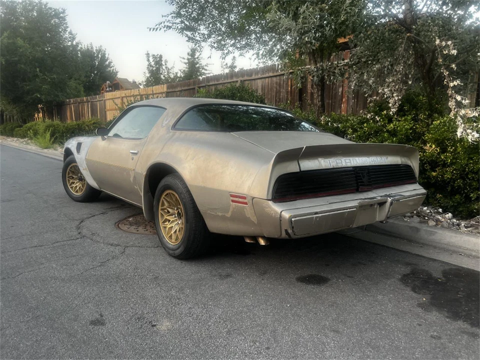 1981 Pontiac Firebird Trans Am 2nd Gen - Image 2 of 18