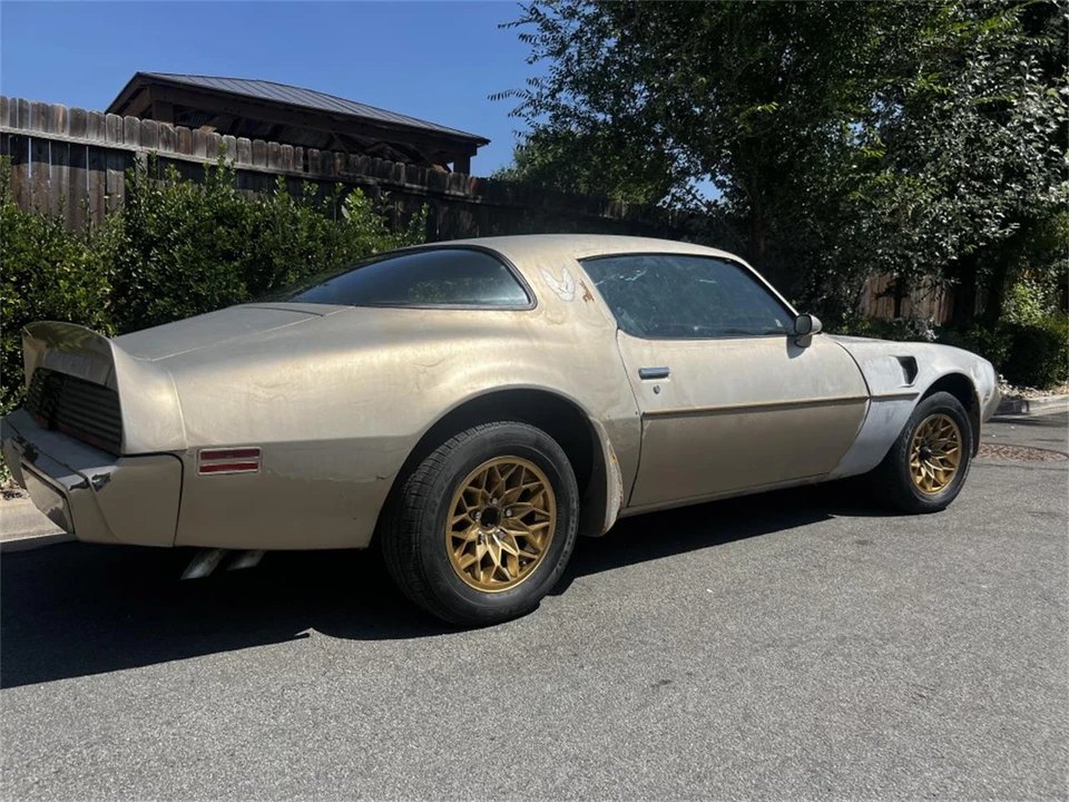 1981 Pontiac Firebird Trans Am 2nd Gen - Image 3 of 18