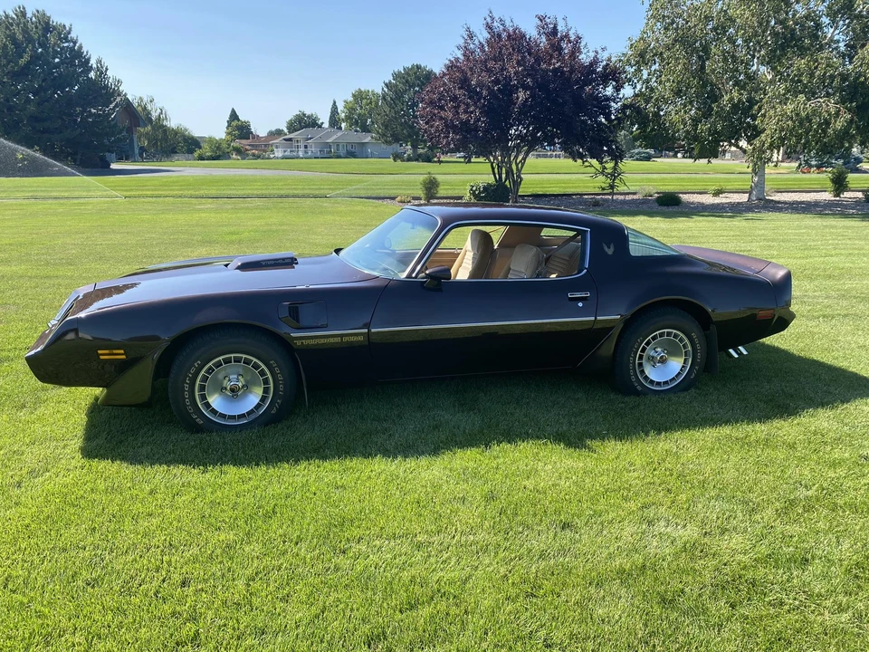 1981 Pontiac Firebird Trans Am 2nd Gen - Image 5 of 31