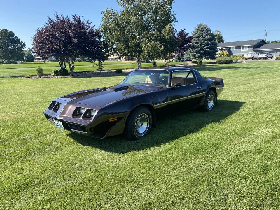 1981 Pontiac Firebird Trans Am 2nd Gen - Image 4 of 31