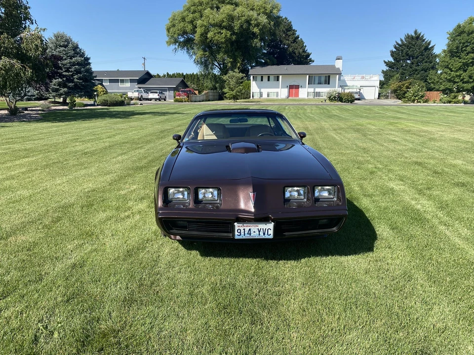 1981 Pontiac Firebird Trans Am 2nd Gen - Image 3 of 31