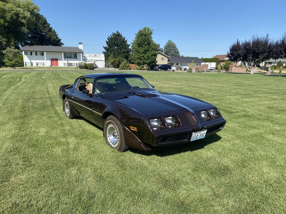 1981 Pontiac Firebird Trans Am 2nd Gen - Image 2 of 31