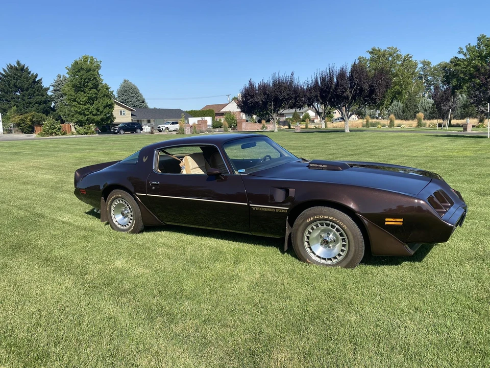 1981 Pontiac Firebird Trans Am 2nd Gen - Image 14 of 31