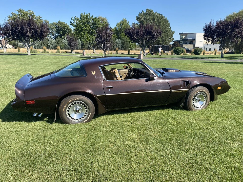1981 Pontiac Firebird Trans Am 2nd Gen - Image 12 of 31