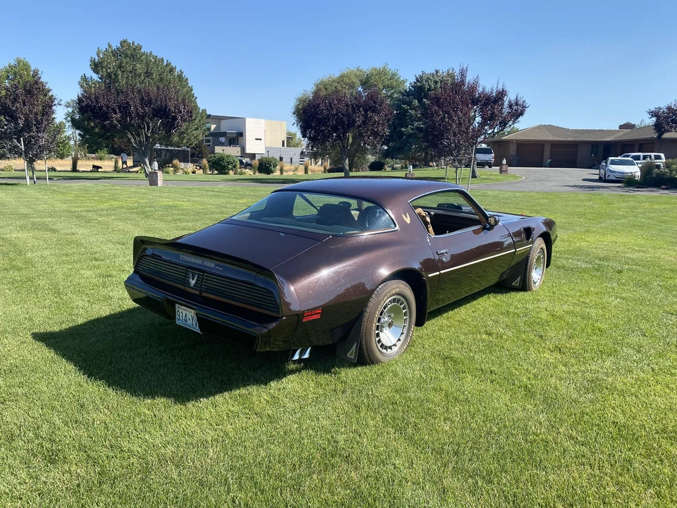 1981 Pontiac Firebird Trans Am 2nd Gen - Image 11 of 31