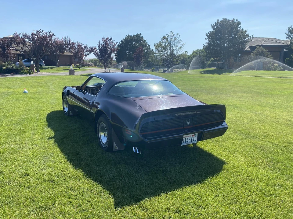 1981 Pontiac Firebird Trans Am 2nd Gen - Image 9 of 31