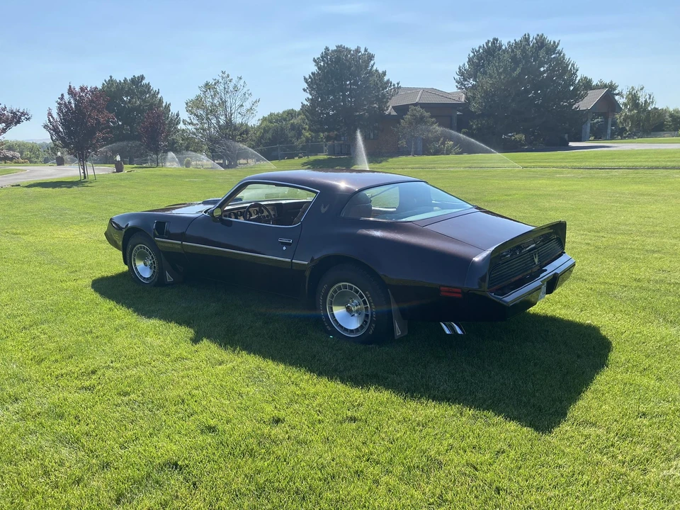 1981 Pontiac Firebird Trans Am 2nd Gen - Image 7 of 31