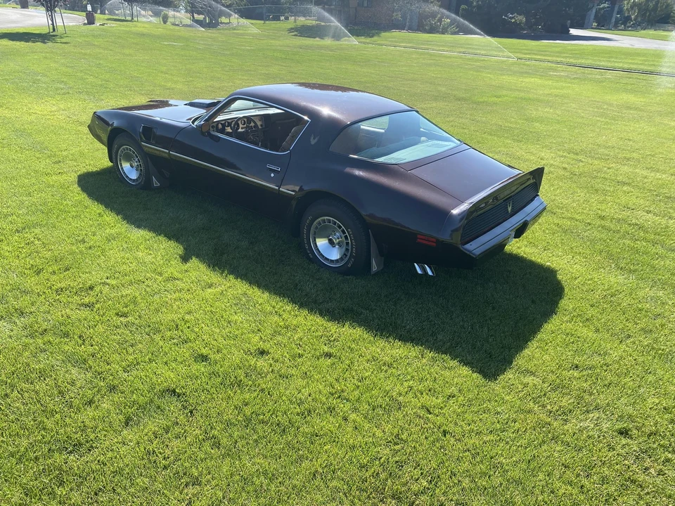 1981 Pontiac Firebird Trans Am 2nd Gen - Image 8 of 31