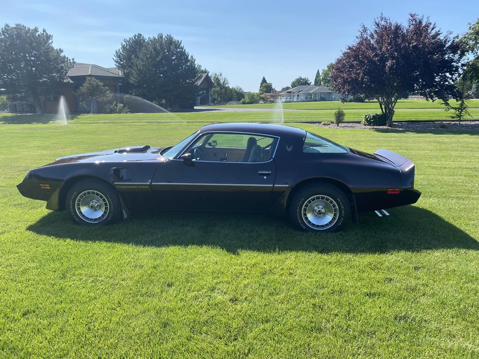 1981 Pontiac Firebird Trans Am 2nd Gen - Image 6 of 31
