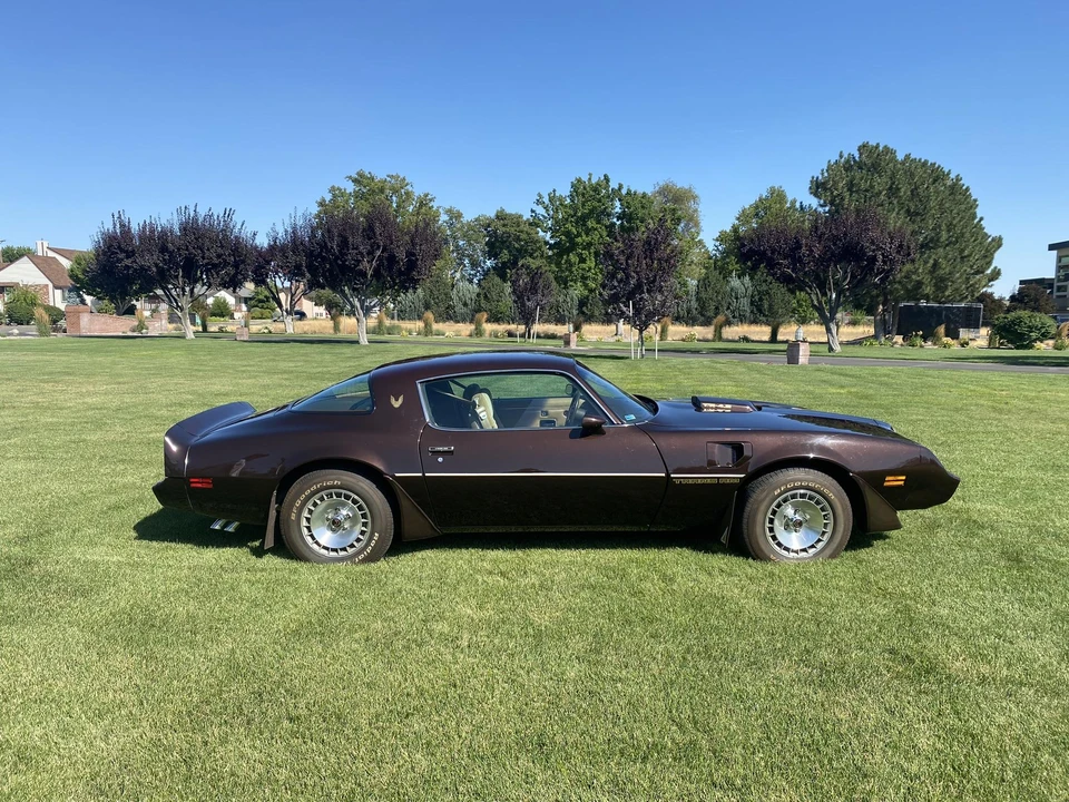 1981 Pontiac Firebird Trans Am 2nd Gen - Image 13 of 31