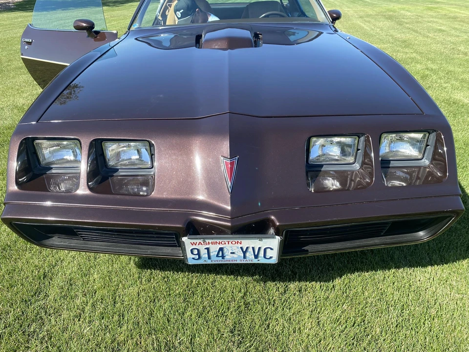 1981 Pontiac Firebird Trans Am 2nd Gen - Image 24 of 31