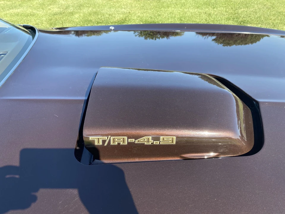 1981 Pontiac Firebird Trans Am 2nd Gen - Image 25 of 31